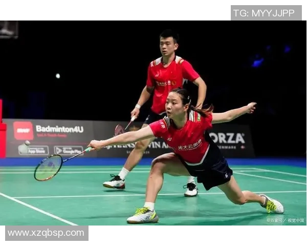 南京羽毛球队节奏对比深度解析与战术演变探讨